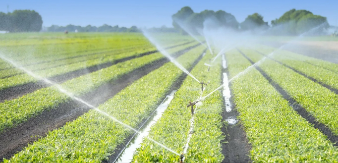 台州君安火災技術有限公司