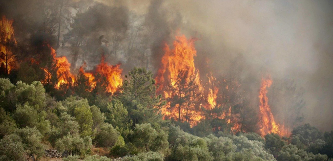 台州君安火災技術有限公司
